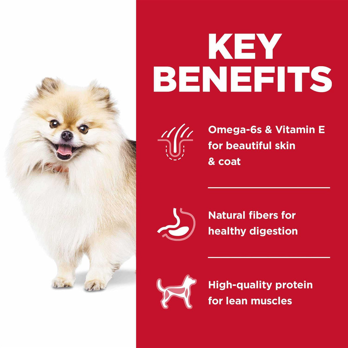 Dry Dog Food Q6148