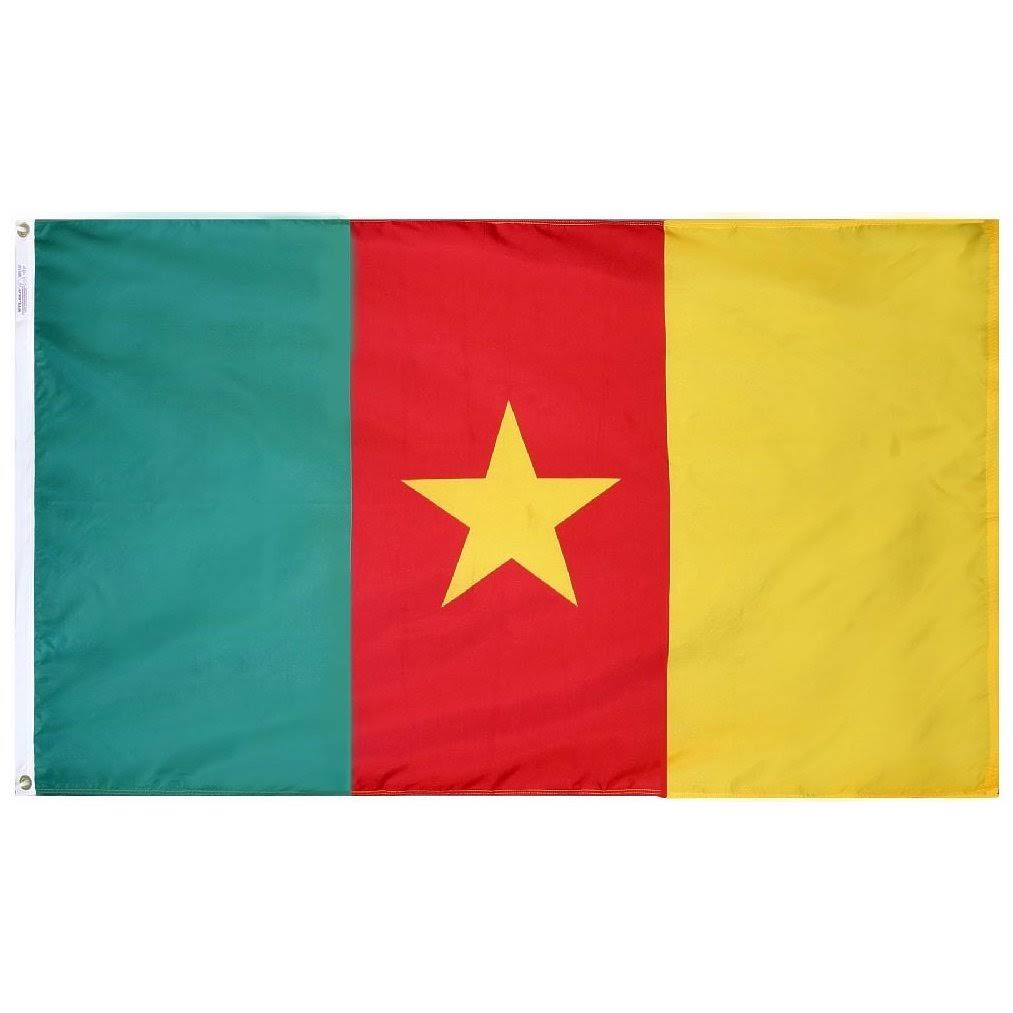 3x5 Nylon Flag B858
