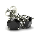 Black Diamond Stud Earrings in 14K Gold P8495