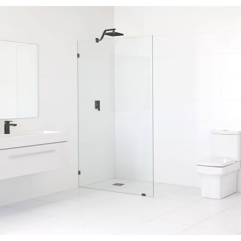 Frameless Shower Door P18223