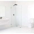 Frameless Shower Door P18223