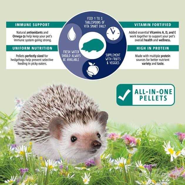 Hedgehog Food R5768