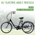 24 Inch 250w 36V Black 3 Wheel Electric Bike F2983