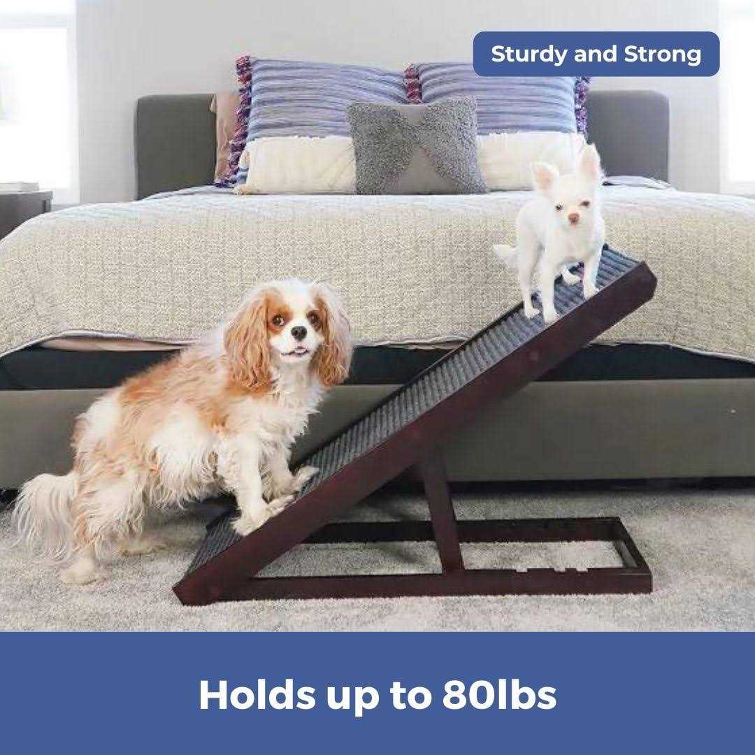 Natural Wood PawRamp for Small & Large Dogs L109