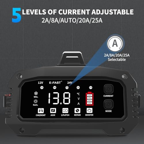 25A 12/24V Lifepo4 Lead Acid Car Battery Charger D4173
