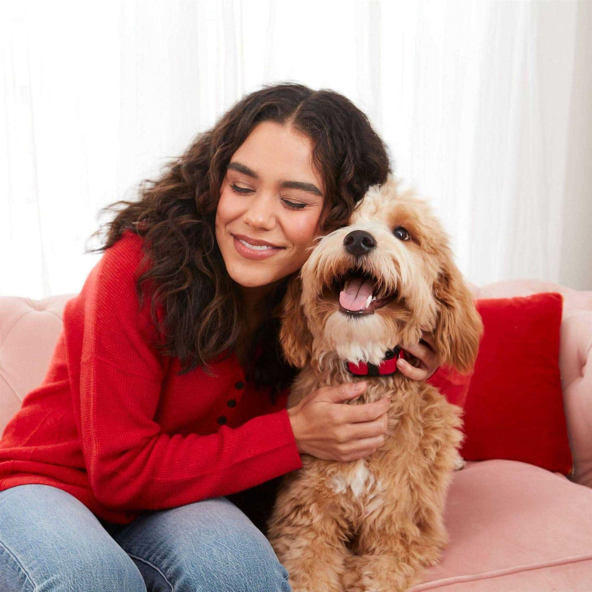 Soft & Chewy Dog Treats W154