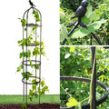 Rustproof Metal 6ft Garden Trellis for Climbing Plants M744576