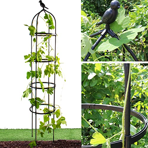 Rustproof Metal 6ft Garden Trellis for Climbing Plants M744576