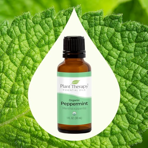 Organic Frankincense Serrata Essential Oil 30 mL (1 oz) W407