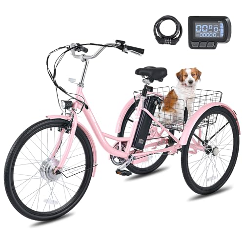 Electric Tricycle 250W 468Wh Removable Battery 3 Wheel 330 lb. 24 in O9365