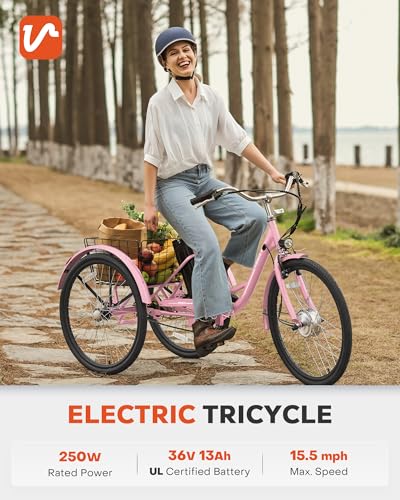 Electric Tricycle 250W 468Wh Removable Battery 3 Wheel 330 lb. 24 in O9365