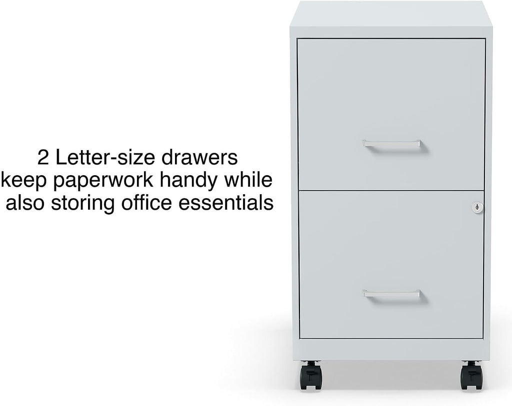 2-Drawer Locking Letter Gray Vertical File Cabinet N691820
