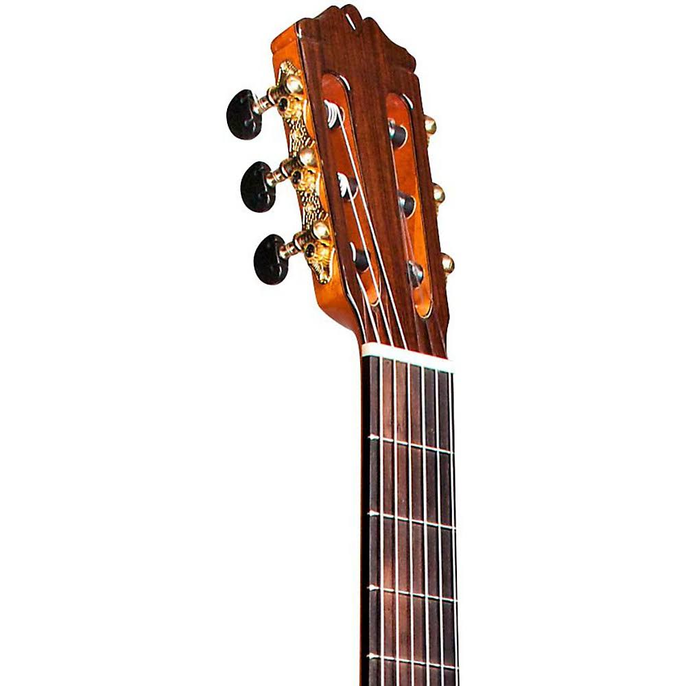 Natural Nylon String Classical Guitar O891