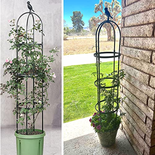 Rustproof Metal 6ft Garden Trellis for Climbing Plants M744576