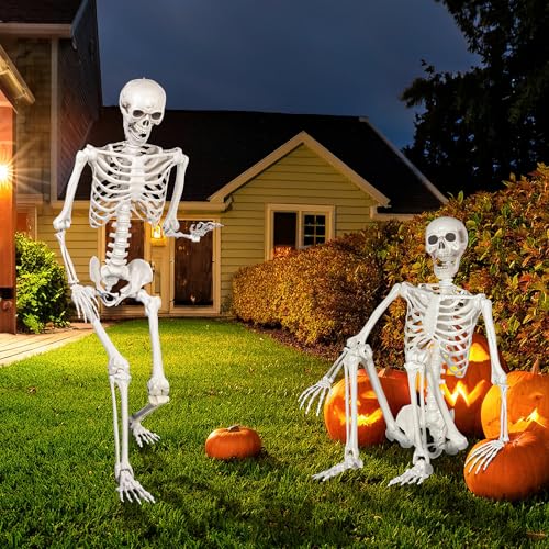 Life Size Skeleton with Movable Joints T53772