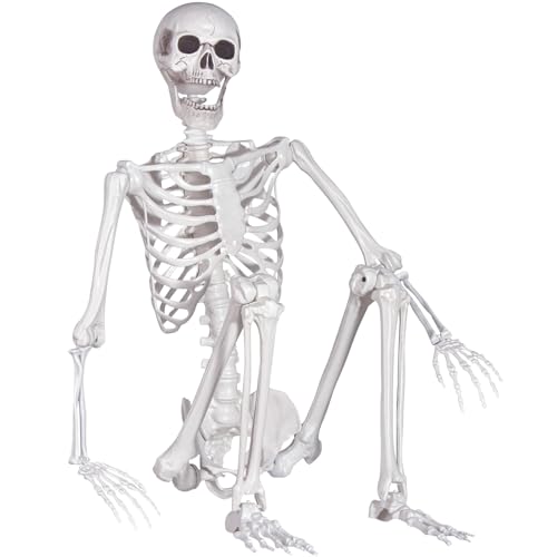 Life Size Skeleton with Movable Joints T53772
