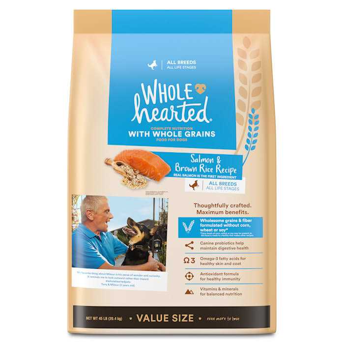 Salmon Recipe Dry Dog Food S4064