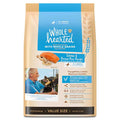 Salmon Recipe Dry Dog Food S4064