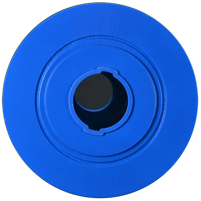 Replacement Cartridge for Vita Spa Filtration Filter PVT50W P999457