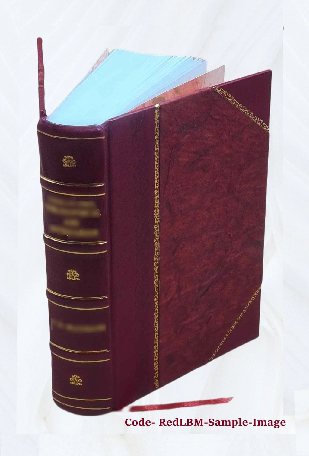 Leather Bound Book B385548