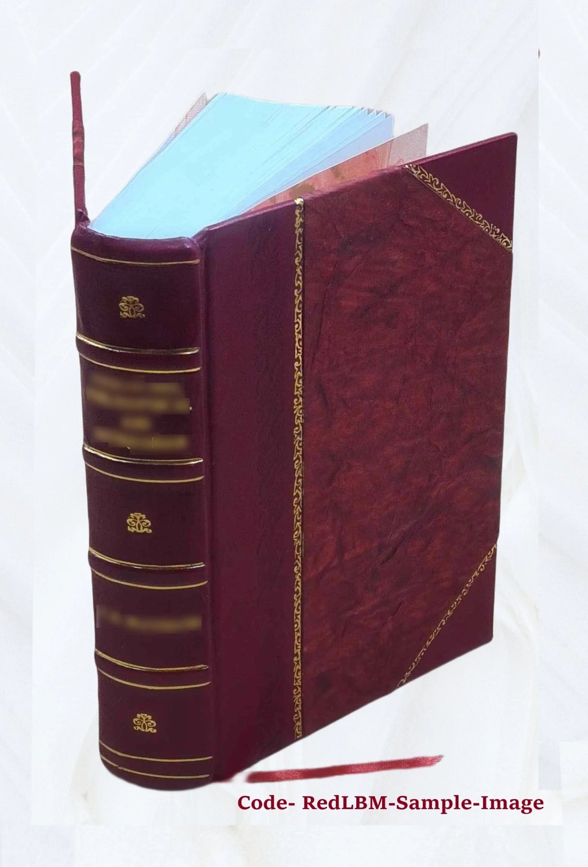 Leather Bound Book B385548