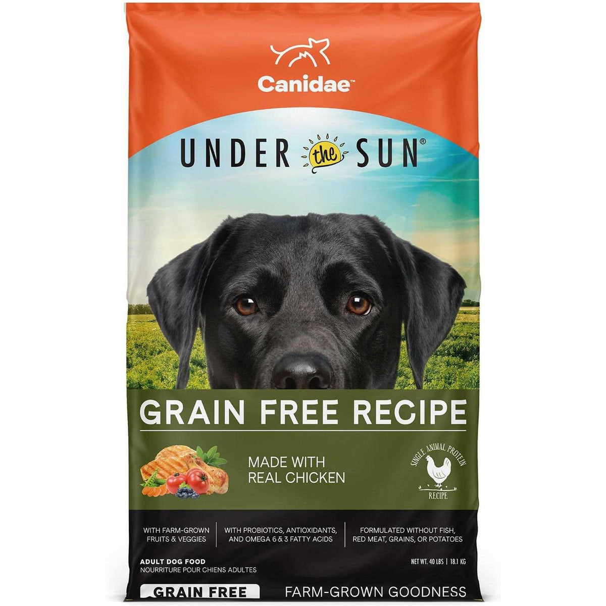 Grain-Free Dry Dog Food Chicken N35973
