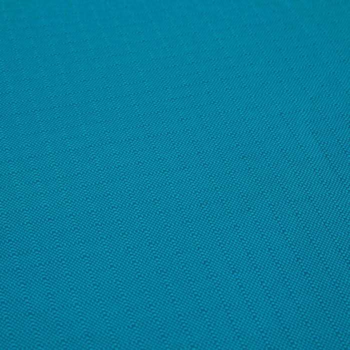 Teal Dog Mat R687