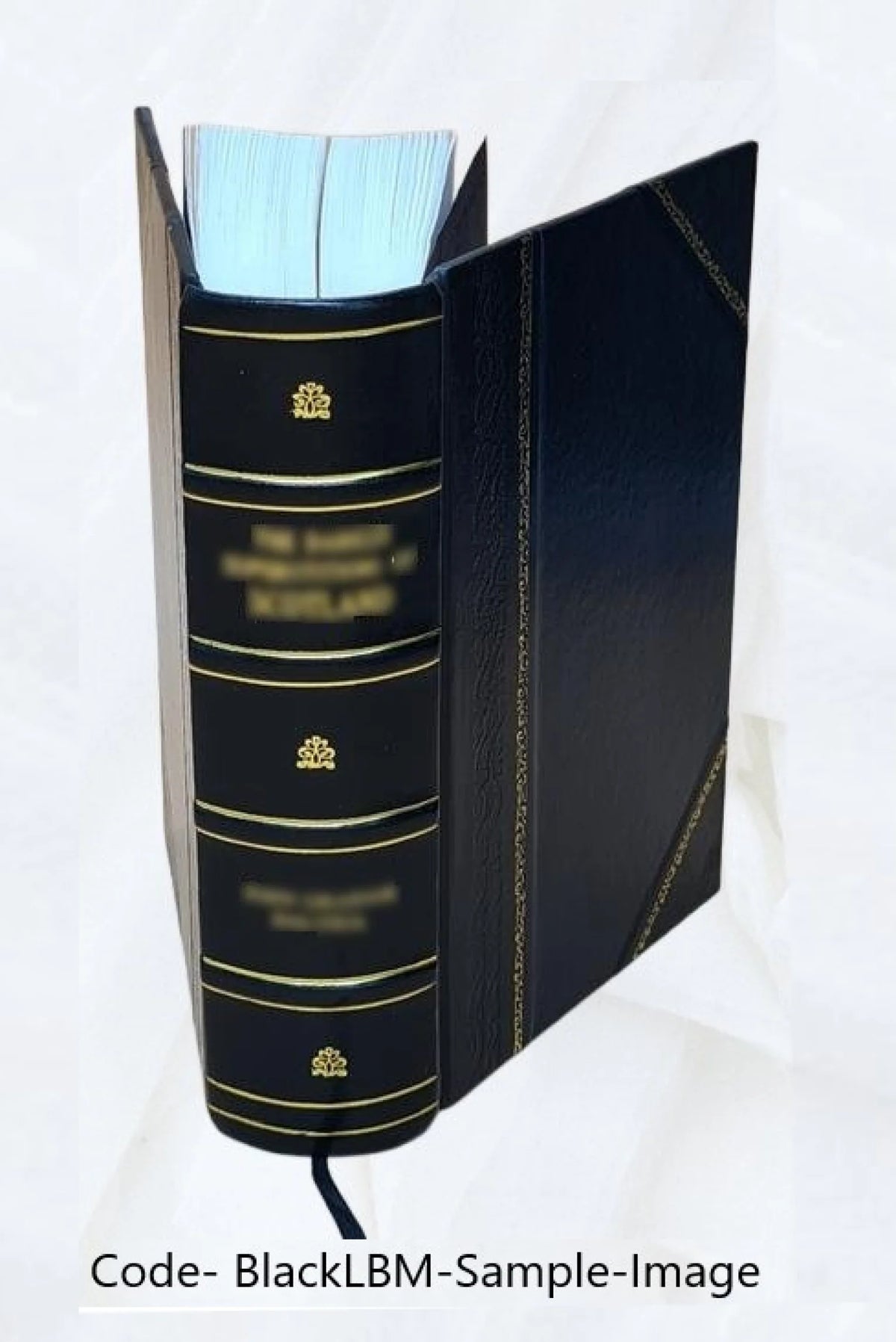 Leather Bound Book B385548