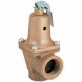 Safety Relief Valve, 3/4 x 1in, 75psi, Iron D421877
