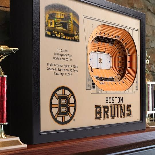 Boston Bruins TD Garden Fan L8272
