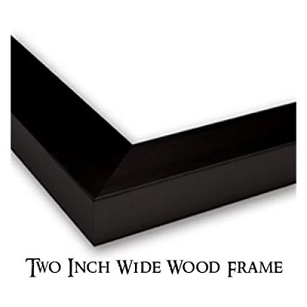 Black 18x13 Framed Art Print Z4455