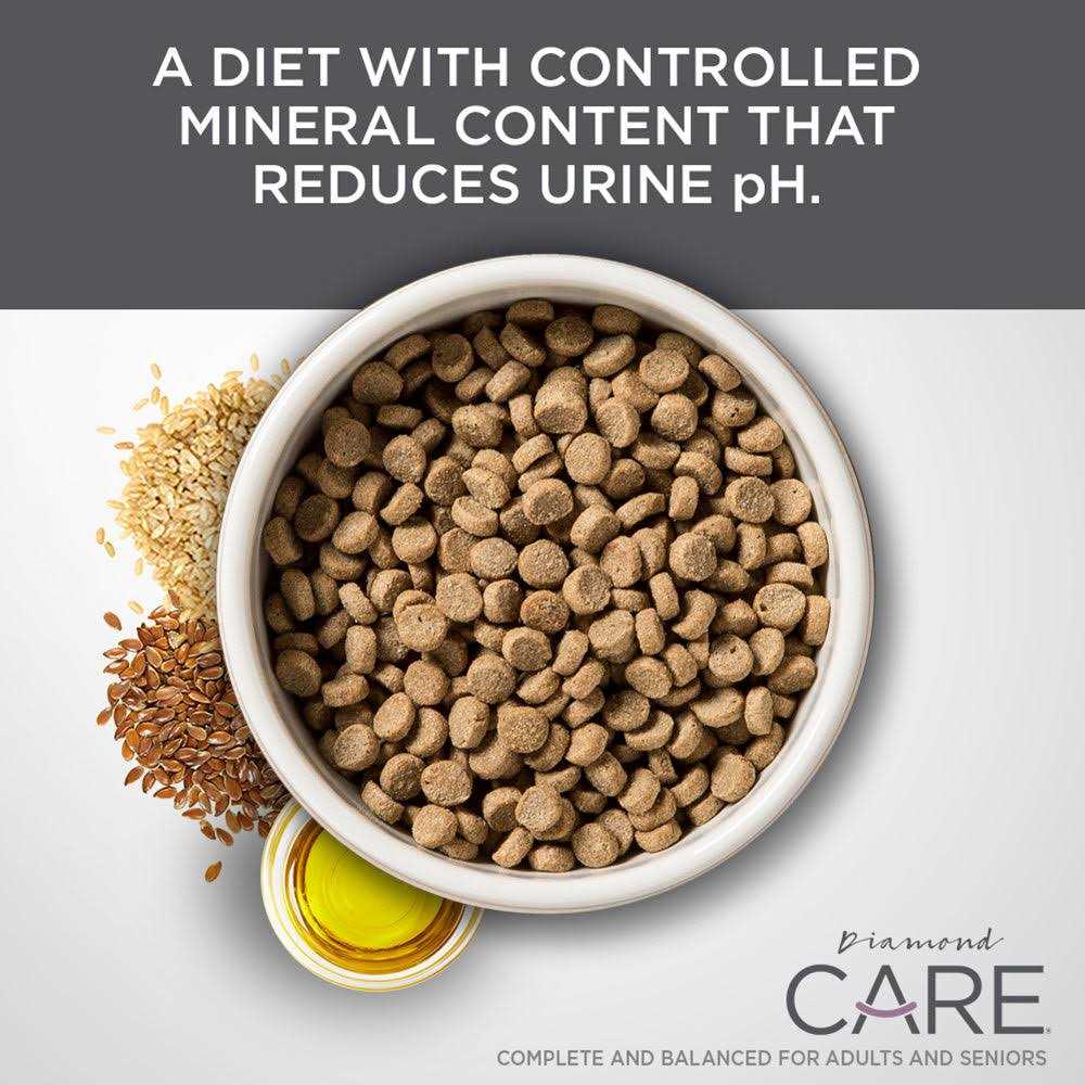 Adult Dry Cat Food B1197