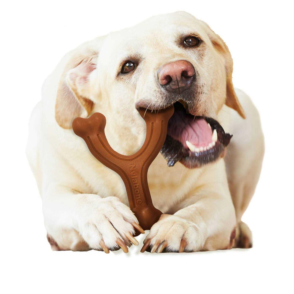 Dog Chew Toy S10500