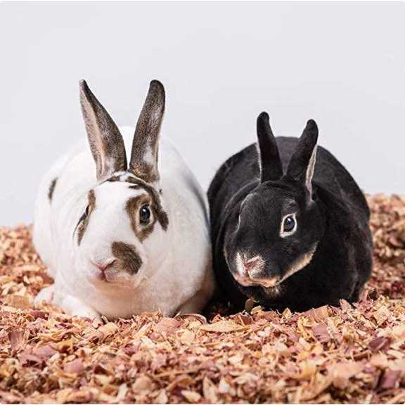 Kiln Dried Red Cedar Bedding U321792