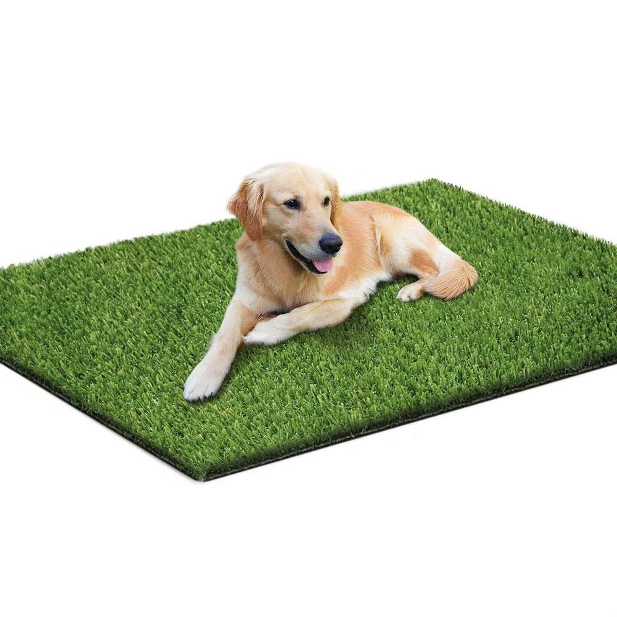 39.4 x 31.5 Inches Washable Artificial Grass Rug N816