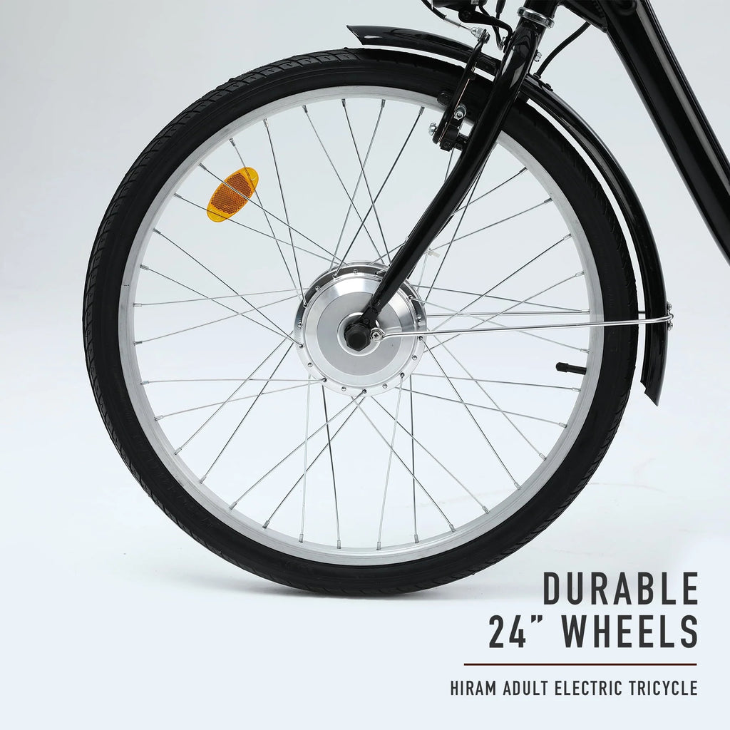 24 Inch 250w 36V Black 3 Wheel Electric Bike F2983