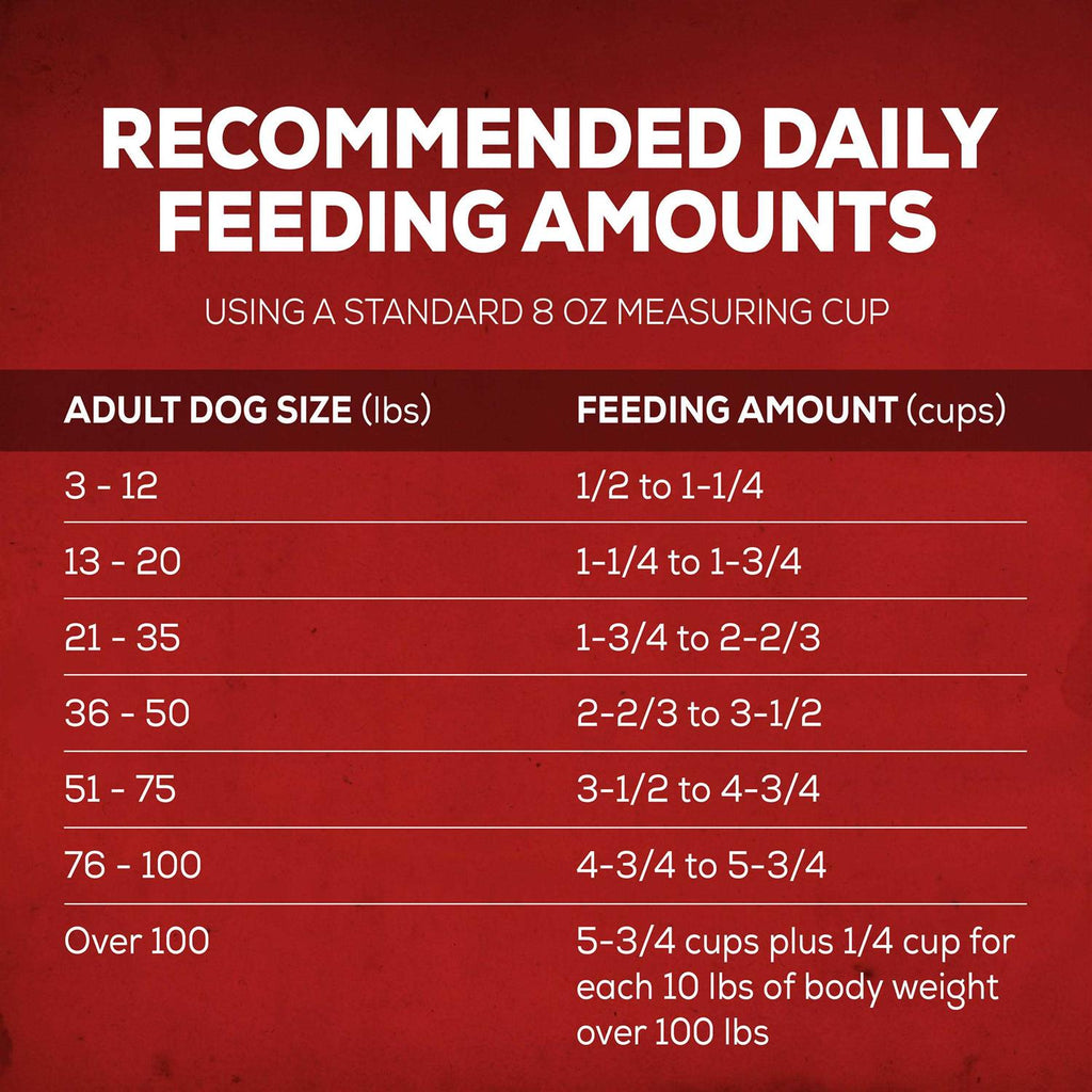 Dry Dog Food O82996