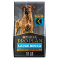 Dry Dog Food I572687