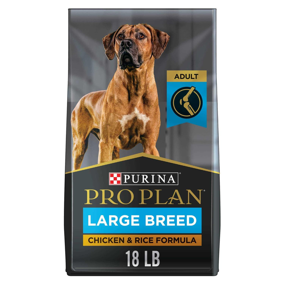 Dry Dog Food I572687