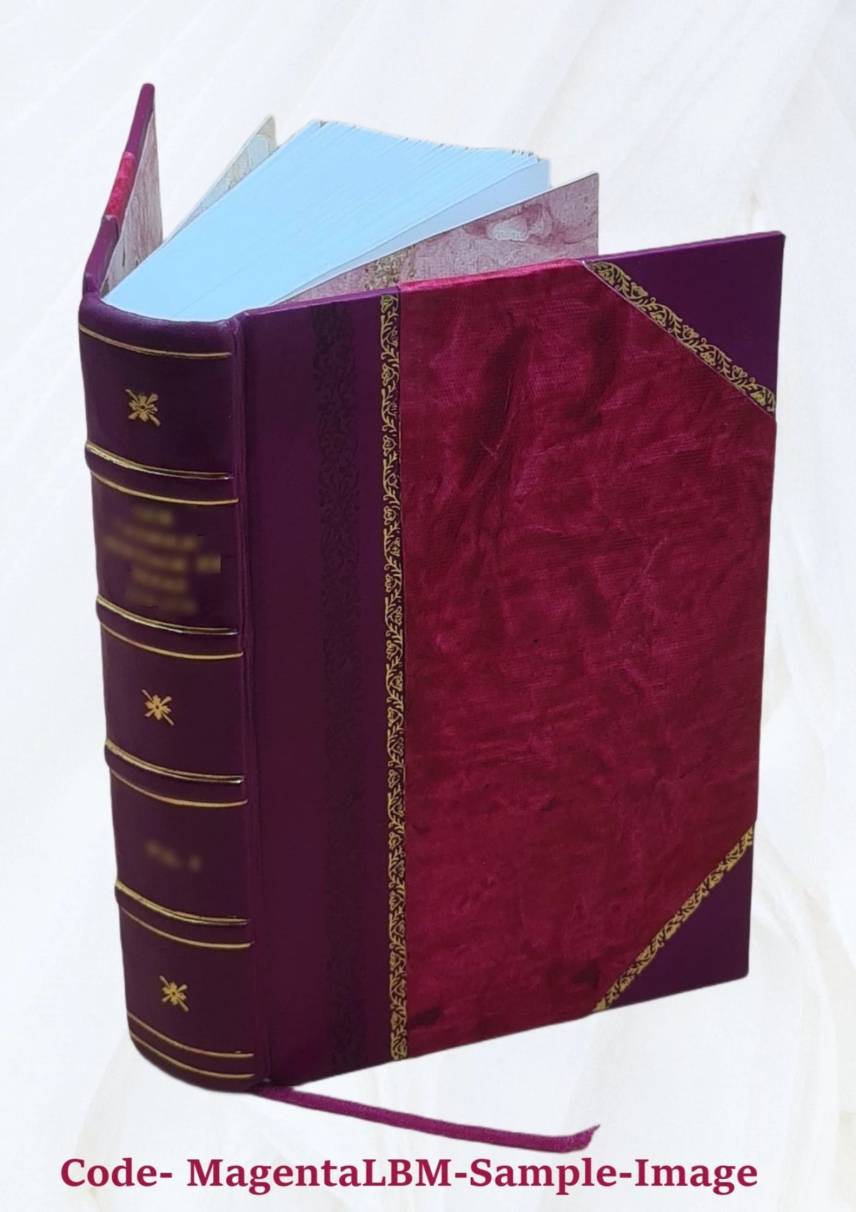 Leather Bound Book B385548