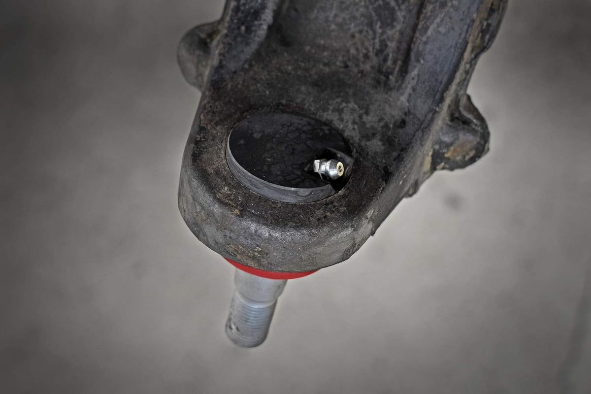 Heavy Duty Replacement Ball Joints for Jeep Wrangler Q5459