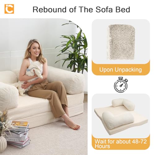 Beige Queen Folding Sofa Bed D9056
