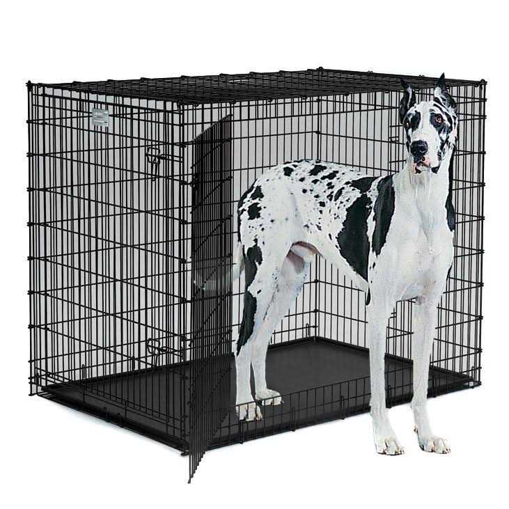 Double Door Dog Crate A69829