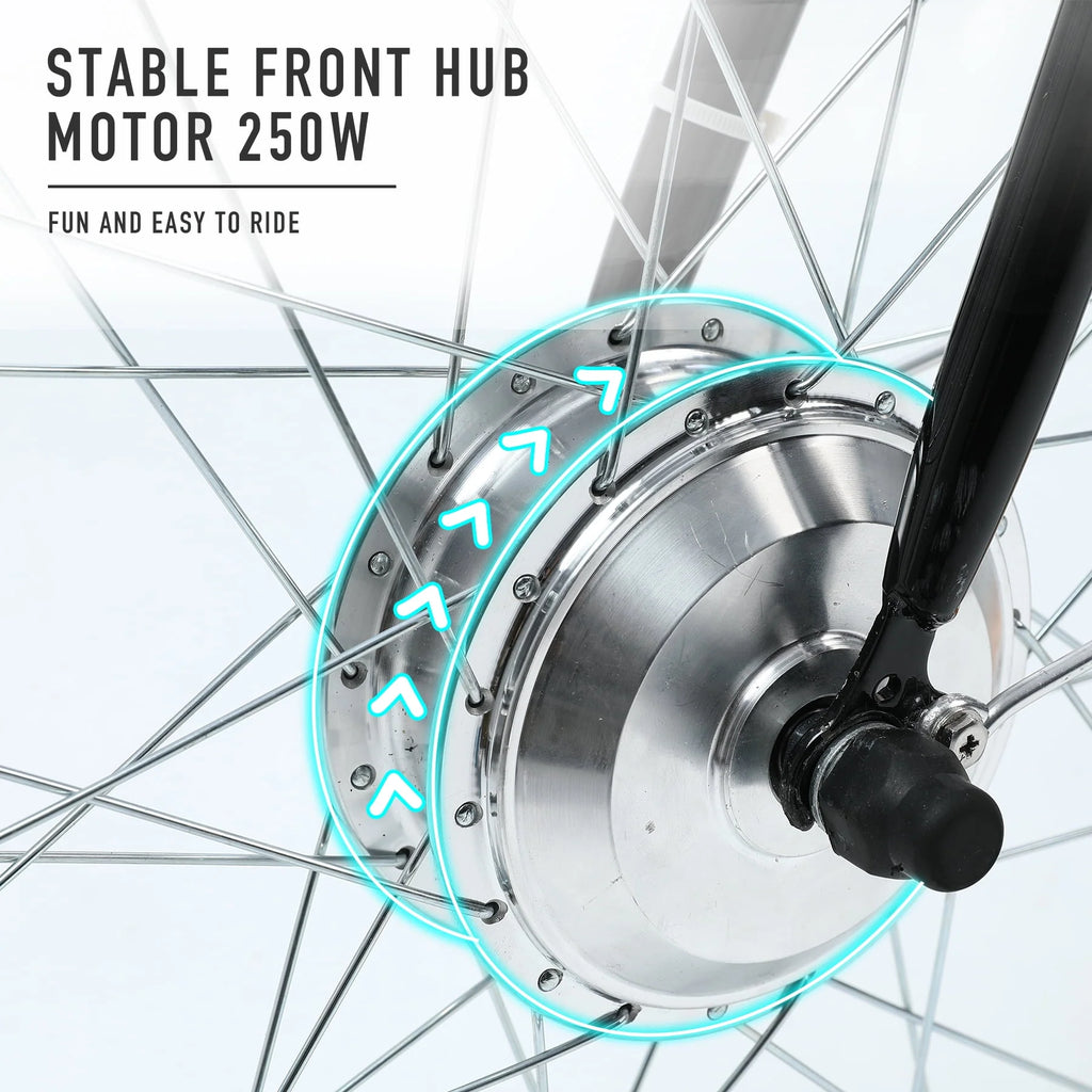 24 Inch 250w 36V Black 3 Wheel Electric Bike F2983
